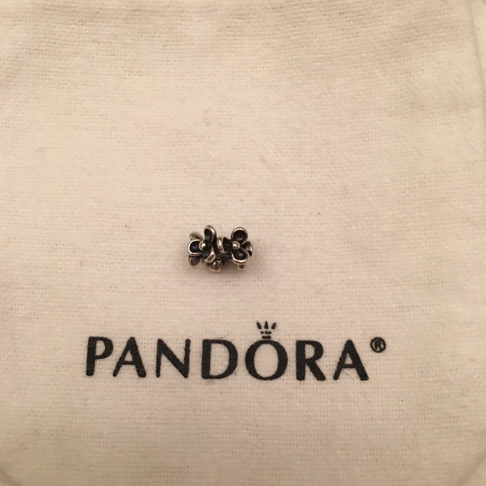 Pandora Charm Spacer Daisies Sterling Silver
